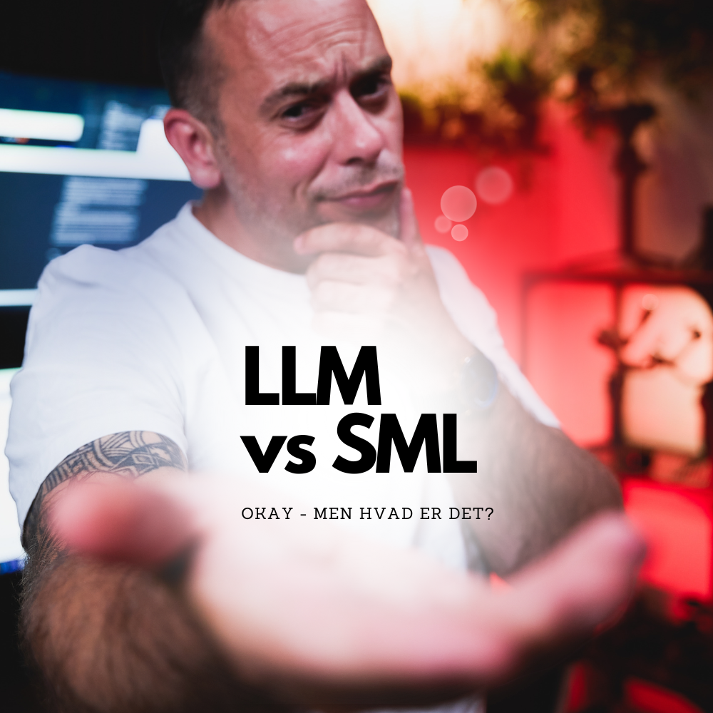 Forskellen på LLM og SML